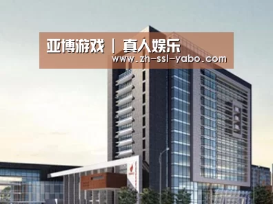 案例展示七