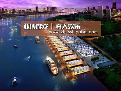 案例展示八