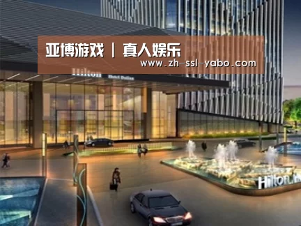 案例展示二