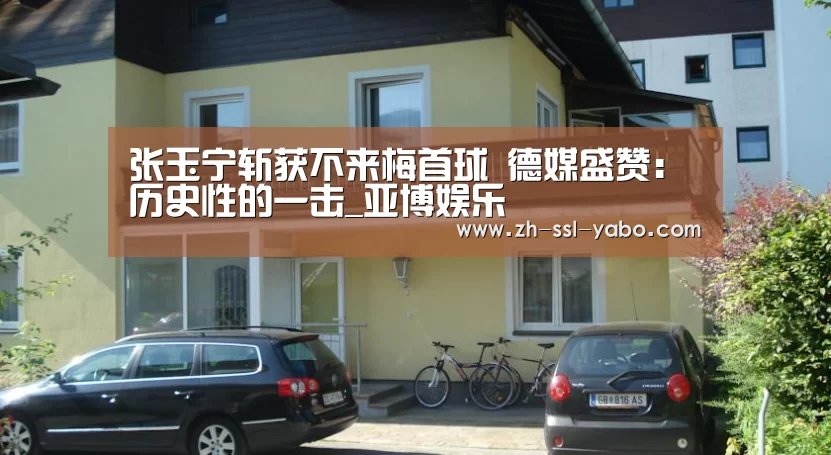 张玉宁斩获不来梅首球 德媒盛赞:历史性的一击_亚博娱乐(图4) 亚博娱乐