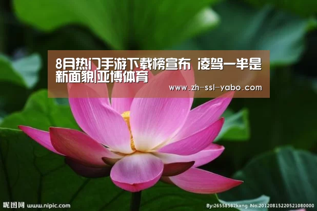 8月热门手游下载榜宣布 凌驾一半是新面貌|亚博体育(图3) 亚博