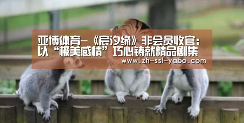 亚博体育-《宸汐缘》非会员收官:以“极美感情”巧心铸就精品剧集(图1) 亚博官网